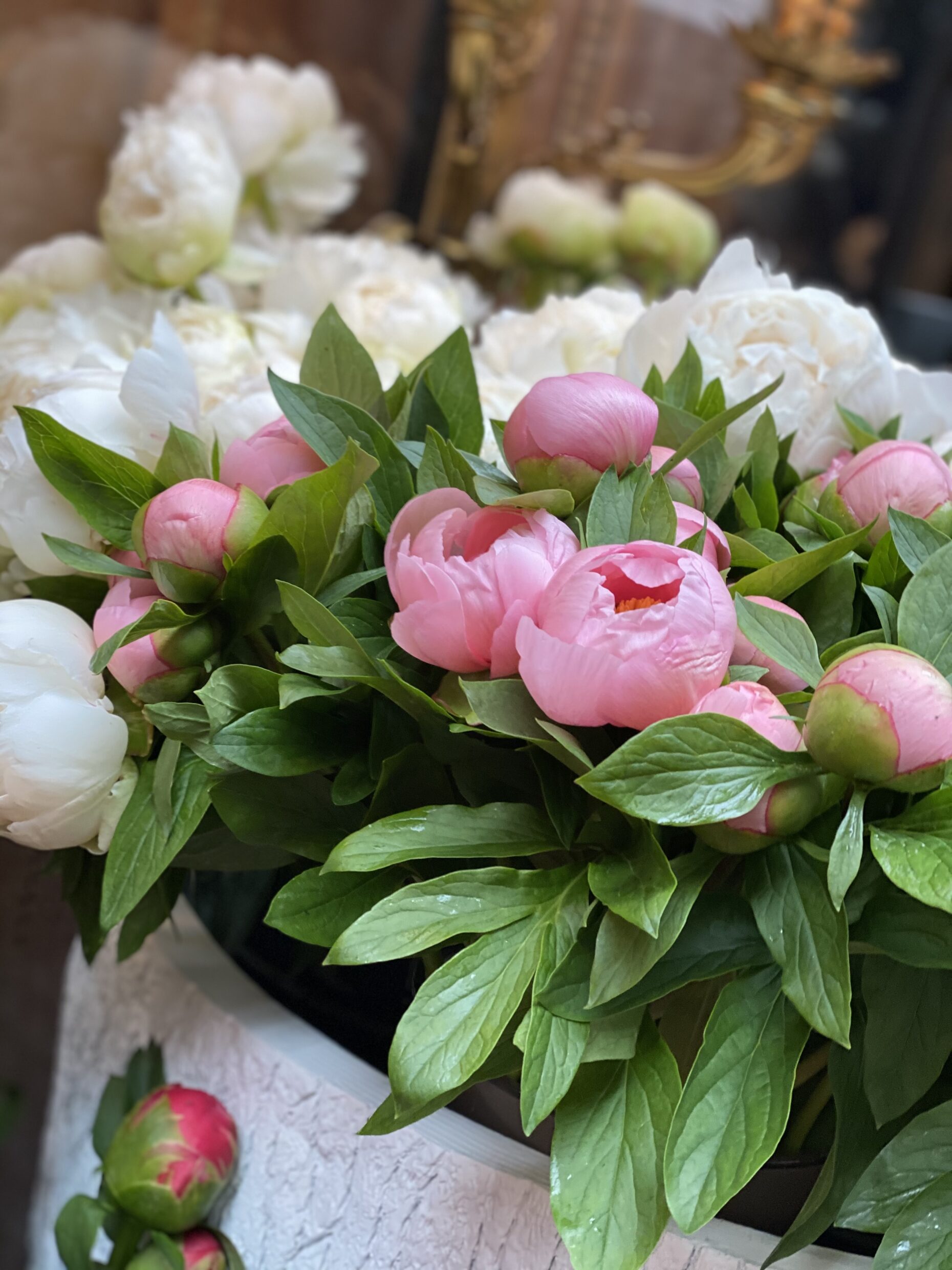 Everything you need to know about peonies