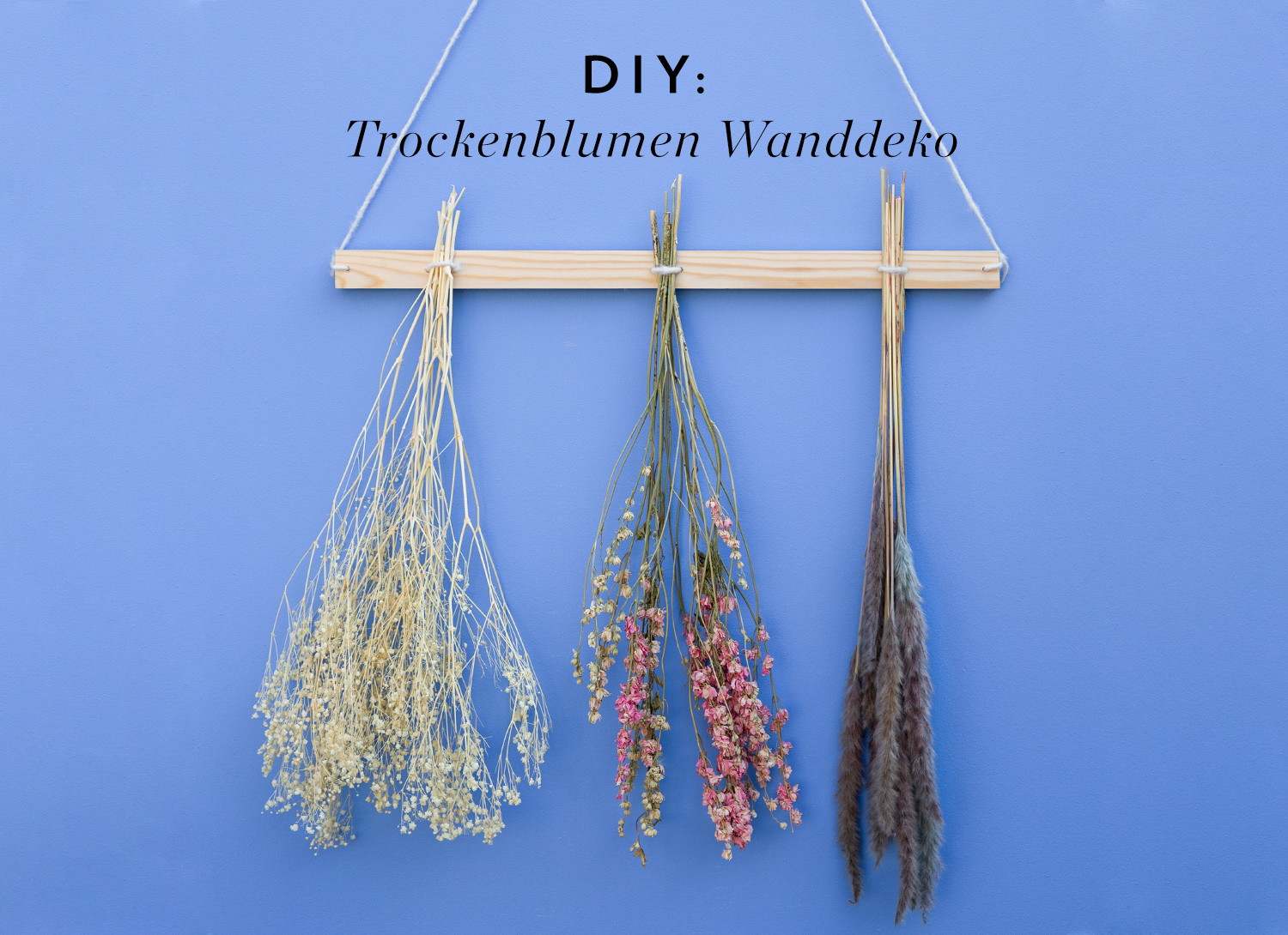 Dried Flowers DIY: Wall Molding - 