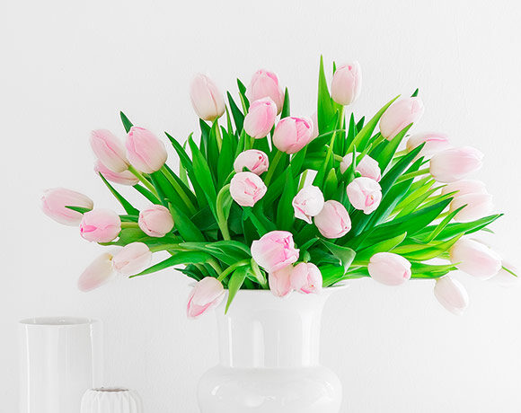 1632964891 740 Our tulip arrangements 2020 580x460 - Our tulip arrangements 2020 -