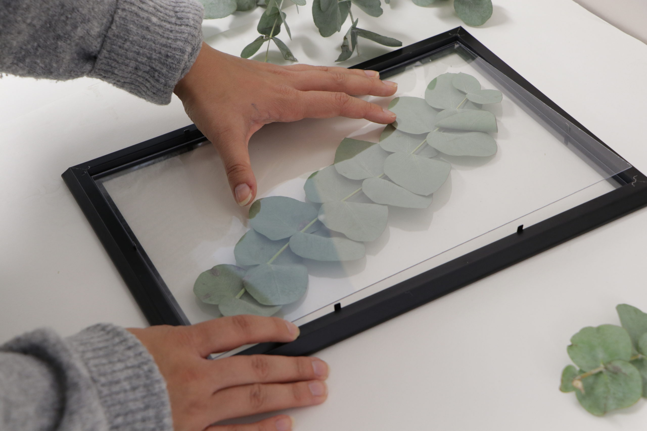 DIY: Eucalyptus in a glass frame - 