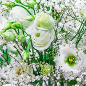 1633611258 517 White Delight Bloomy Blog - White Japan -