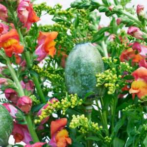 1633712889 951 Enchanted Garden Bloomy Blog - Enchanted Garden -