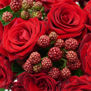 1633851919 133 Red Berry Bloomy Blog - Red Berry -
