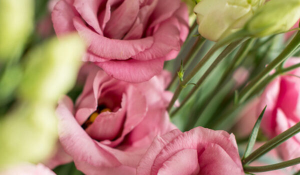Flower subscription as an extraordinary wedding gift