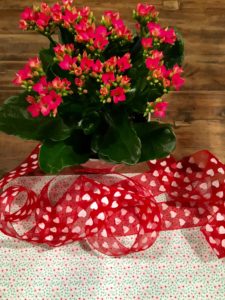 1635447462 689 DIY Mothers Day Gift Flower tips - DIY Mother's Day Gift - | Flower tips and more