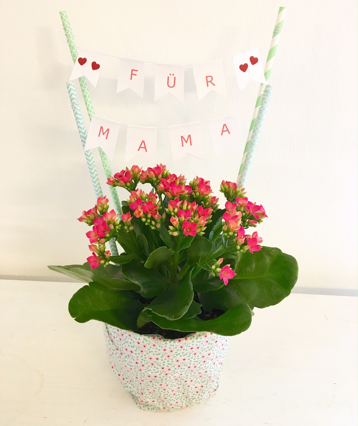 DIY Mother's Day Gift - Bloomy Blog |  Flower tips and more