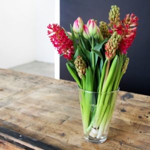 1636335200 135 Hyacinths Bloomy Blog Flower tips and more - Hyacinths -  |  Flower tips and more