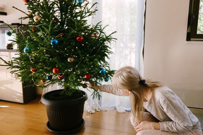 1636644840 187 Buy Christmas trees When is the right time - Buy Christmas trees | When is the right time?