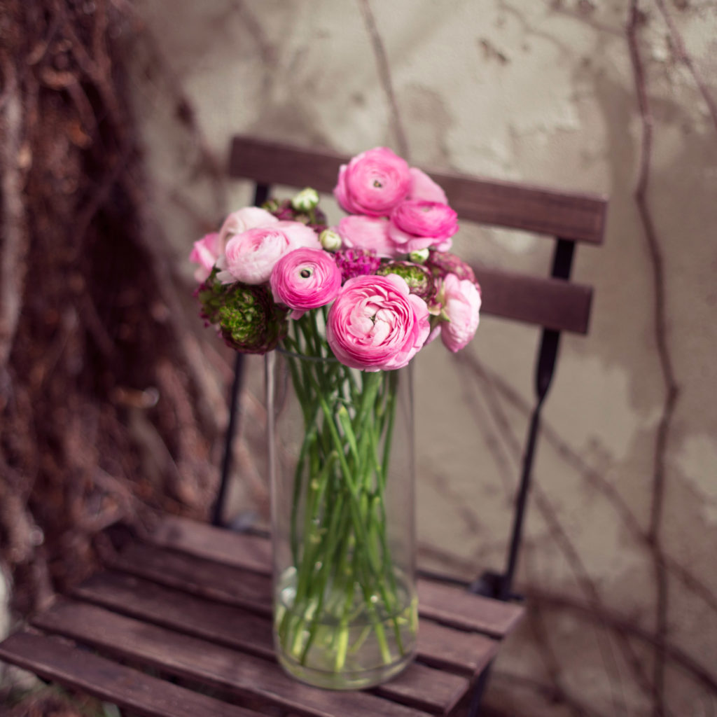 1637895666 654 Ranunculus Flower tips and more - Ranunculus - | Flower tips and more