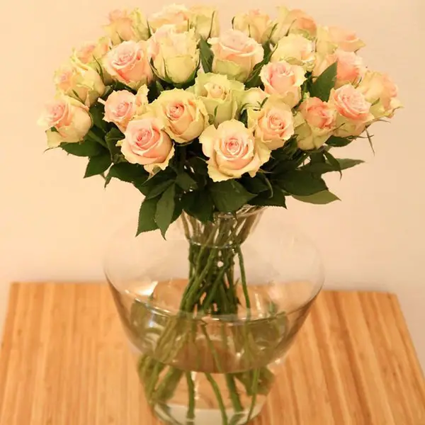 1637959821 263 Roses Bloomy Blog Flower tips and more - Roses -  |  Flower tips and more