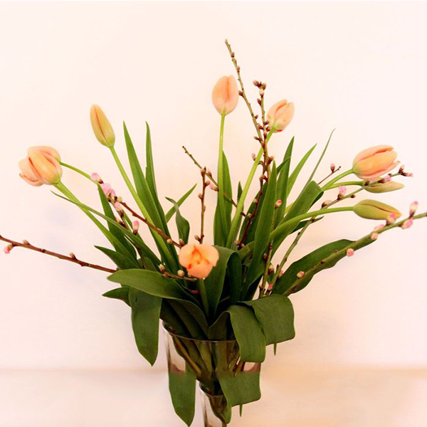 1638080533 23 Tulips Flower tips and more - Tulips - | Flower tips and more