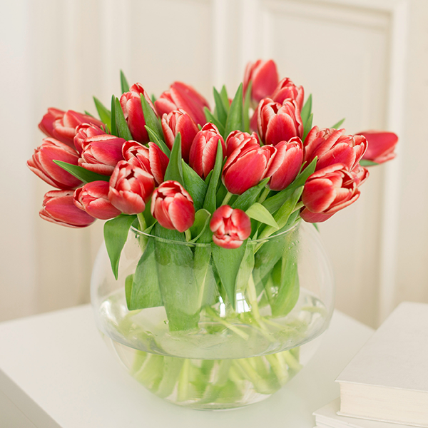 1638080534 286 Tulips Bloomy Blog Flower tips and more - Tulips -  |  Flower tips and more