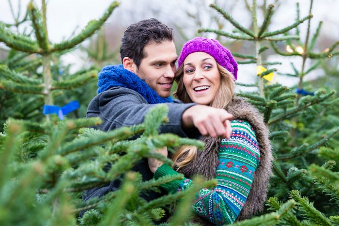 Buy Christmas trees When is the right time - Buy Christmas trees |  When is the right time?