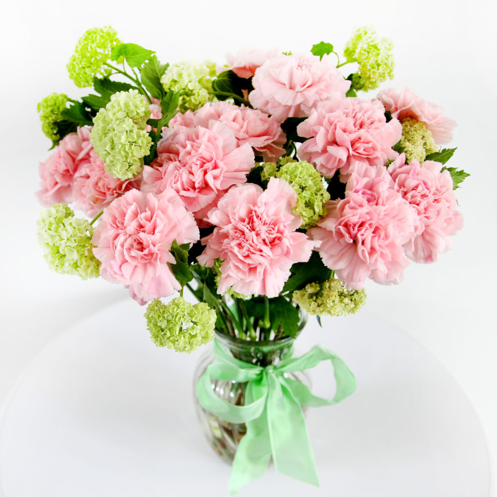 Carnations Flower tips and more - Snowball - | Flower tips and more
