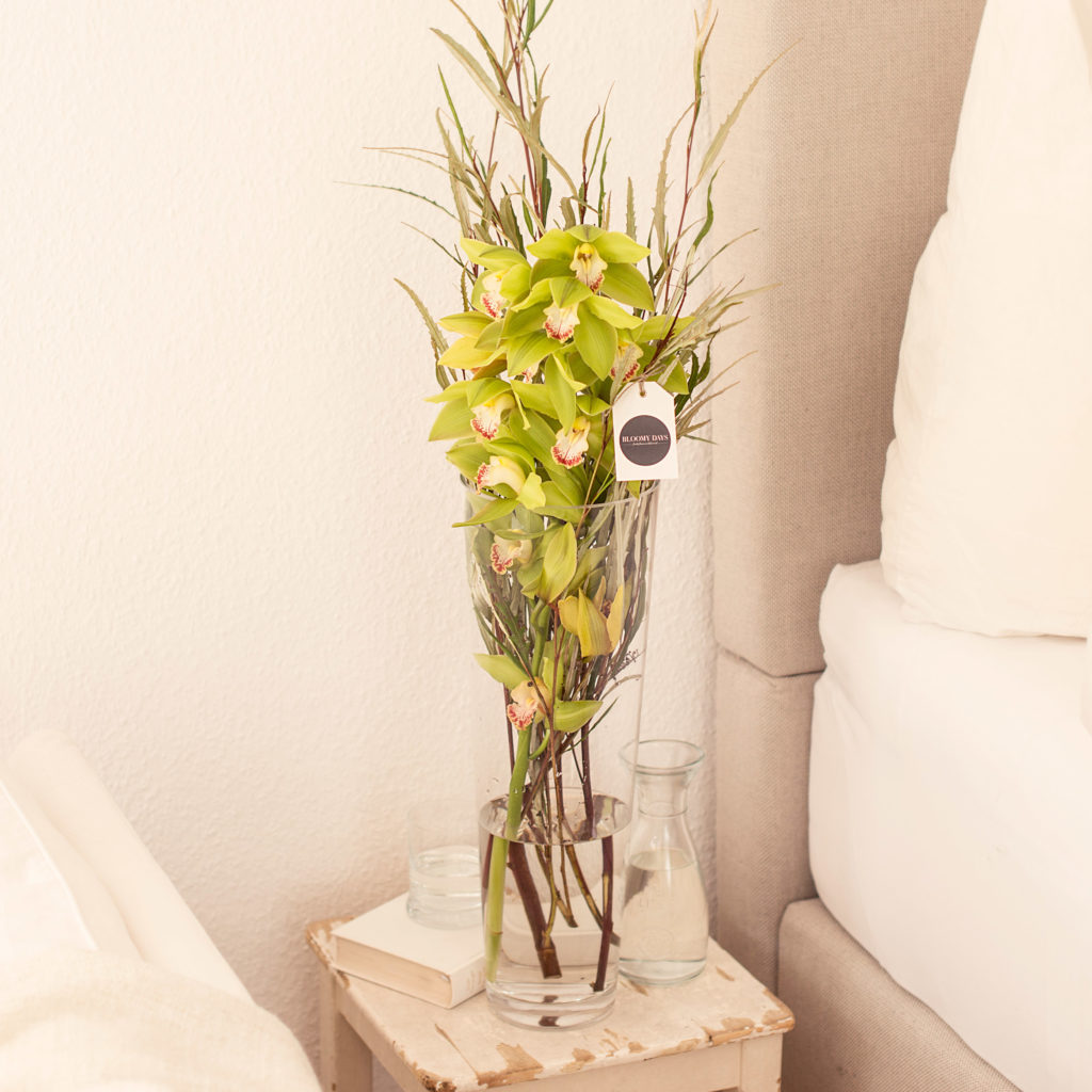 Cymbidium Bloomy Blog Flower tips and more - Grevillea (Silver areas) -