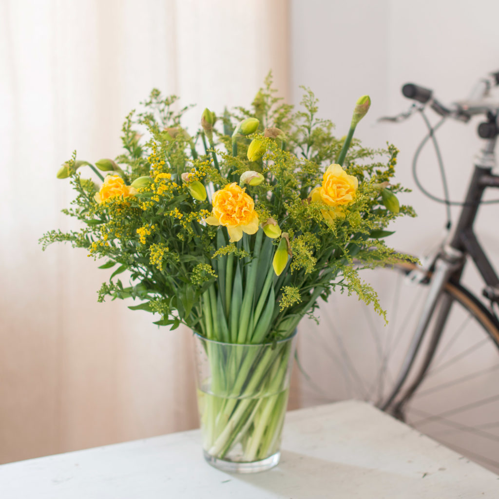 Daffodils daffodils - Daffodils (daffodils) -