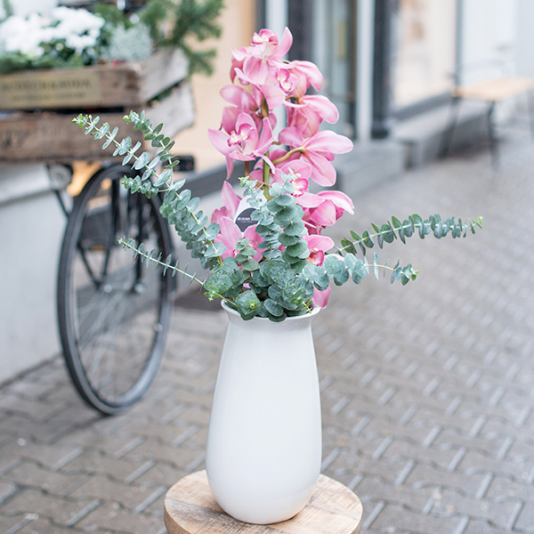 EXOTIC WINTER Bloomy Blog - Cymbidium -  |  Flower tips and more