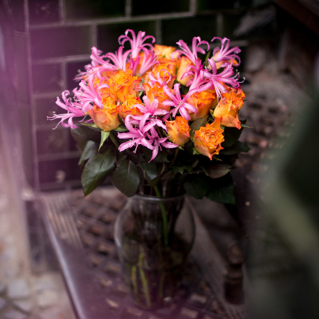 Nerine Guernsey Lilies Bloomy Blog - Nerine (Guernsey Lilies) -