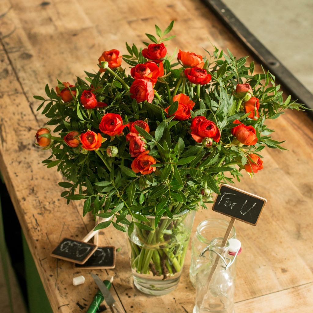 Ranunculus Flower tips and more - BREATHTAKING BEAUTY -