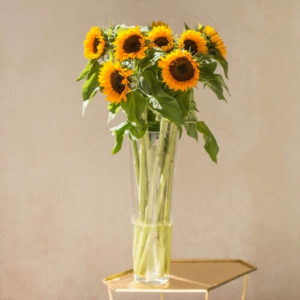 Sunflowers Bloomy Blog Flower tips and more - Sunflowers -  |  Flower tips and more