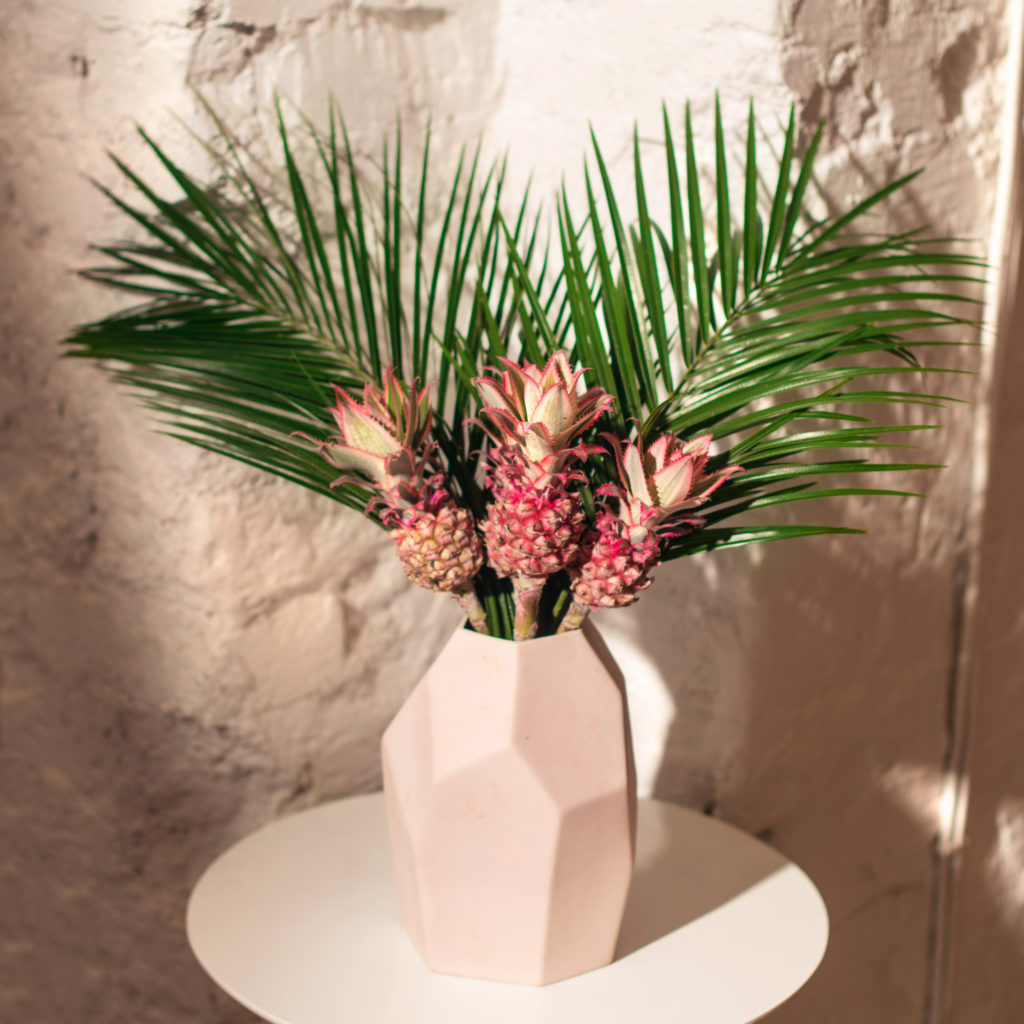 Ornamental Pineapple Bloomy Blog Flower tips and more - Ornamental Pineapple -  |  Flower tips and more