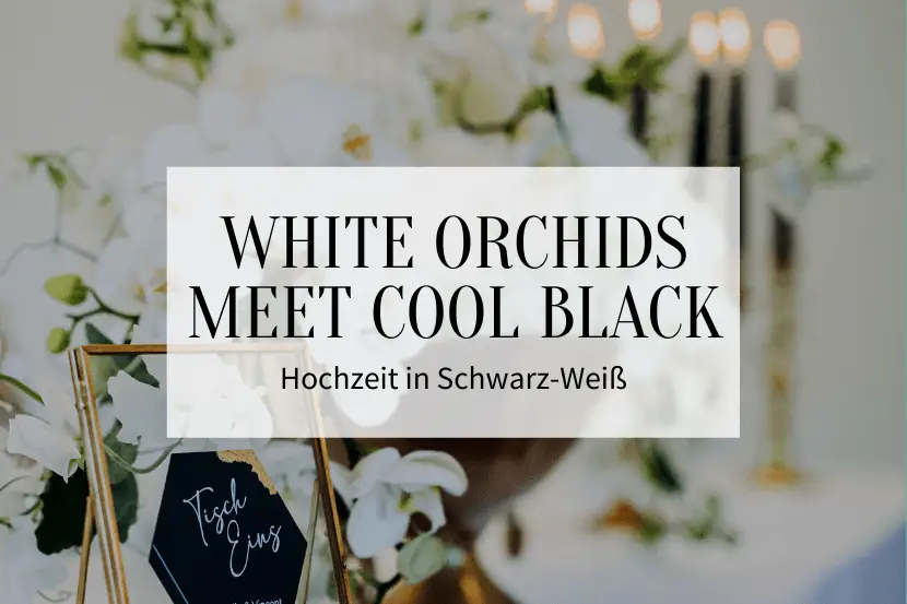 Wedding in black and white White Orchids meet Cool Black - Wedding in black and white: White Orchids meet Cool Black