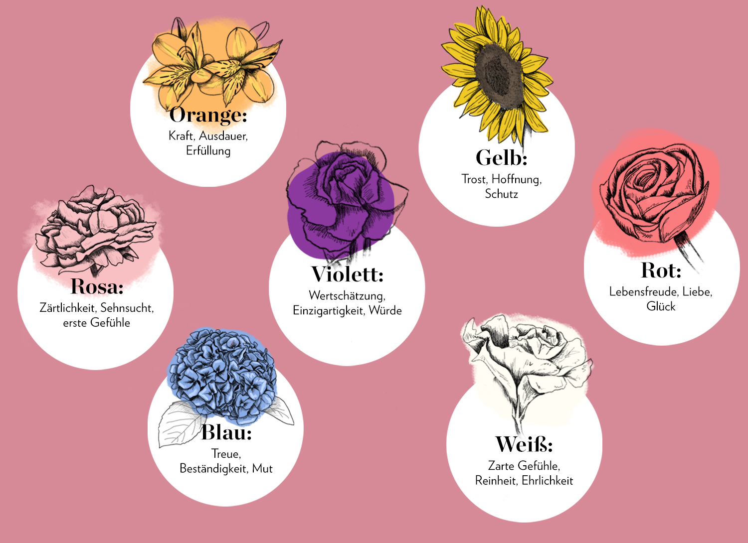 Valentine's Day Color Guide - Bloomy Blog