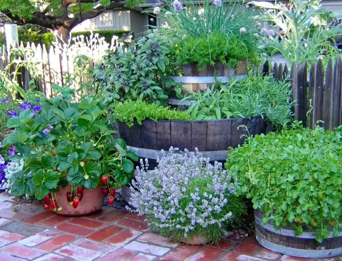 1649075715 343 55 Cheap Garden Ideas Make a beautiful garden with little - 55 Cheap Garden Ideas: Make a beautiful garden with little money!