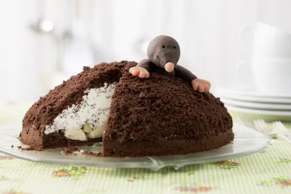 1649119176 702 Mole cake an irresistible dessert for young and old - Mole cake - an irresistible dessert for young and old