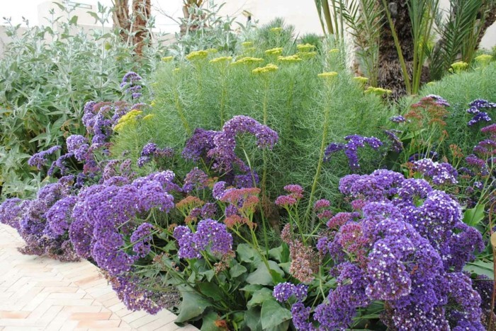 1649237610 803 Bordering beds with plants Which herbs perennials and flowers are - Bordering beds with plants: Which herbs, perennials and flowers are suitable for this