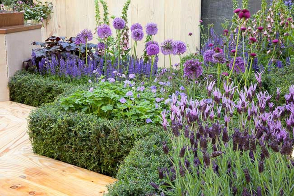 1649242531 255 5 bee friendly perennials that support bees and add blooms to - 5 bee-friendly perennials that support bees and add blooms to the garden