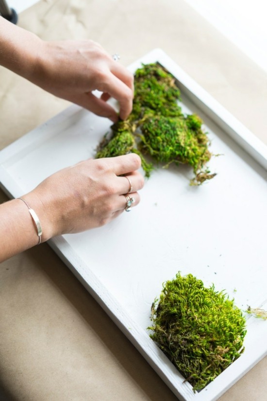 1649451684 75 Make a moss wall yourself – important tips and step by step - Make a moss wall yourself – important tips and step-by-step instructions