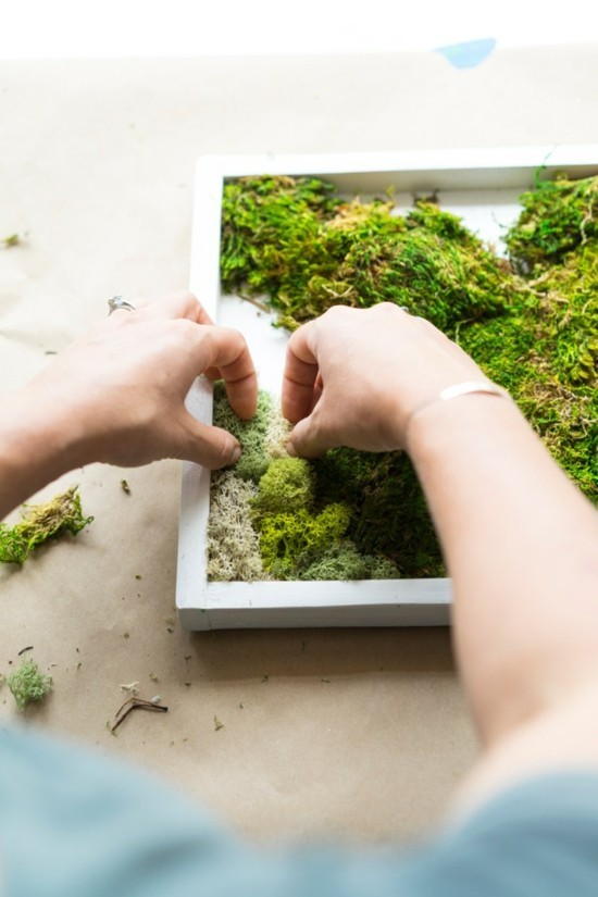 1649451685 49 Make a moss wall yourself – important tips and step by step - Make a moss wall yourself – important tips and step-by-step instructions