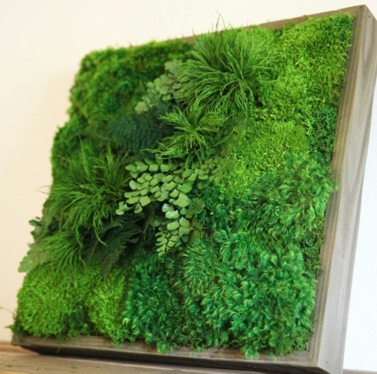 1649451690 521 Make a moss wall yourself – important tips and step by step - Make a moss wall yourself – important tips and step-by-step instructions