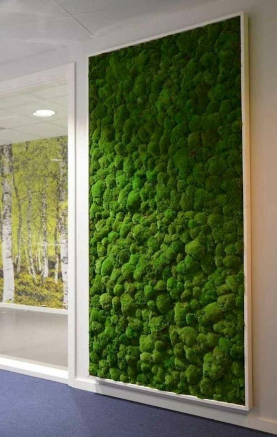 1649451691 973 Make a moss wall yourself – important tips and step by step - Make a moss wall yourself – important tips and step-by-step instructions