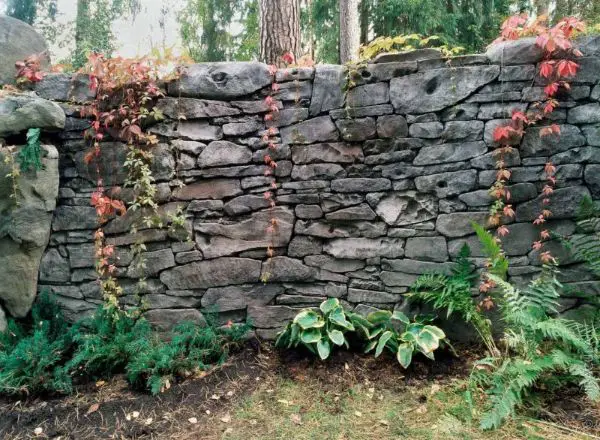 1649683028 614 Modern design solutions with natural stone walls in the garden - Modern design solutions with natural stone walls in the garden 2022