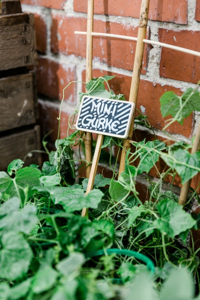 1649756654 974 Garden decoration with herb and garden signs This is how - Garden decoration with herb and garden signs: This is how you conjure up a great garden