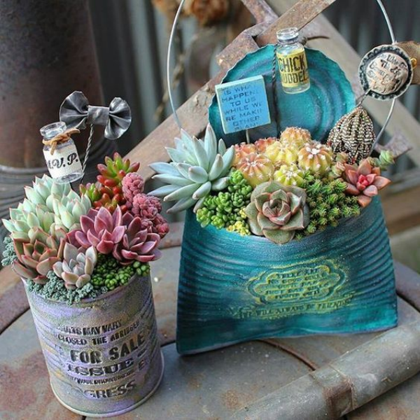 1649858851 67 Decorate with succulents 20 great ideas - Decorate with succulents - 20 great ideas