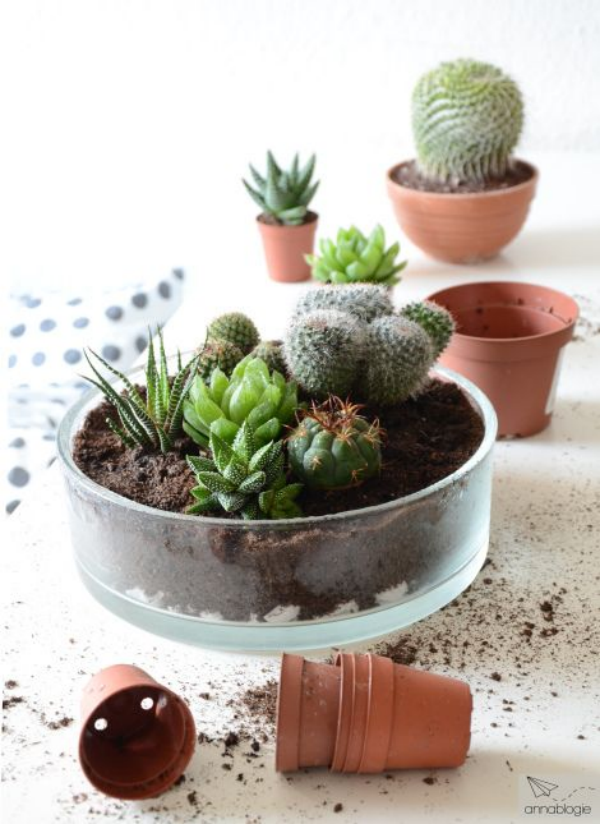 1649858852 346 Decorate with succulents 20 great ideas - Decorate with succulents - 20 great ideas