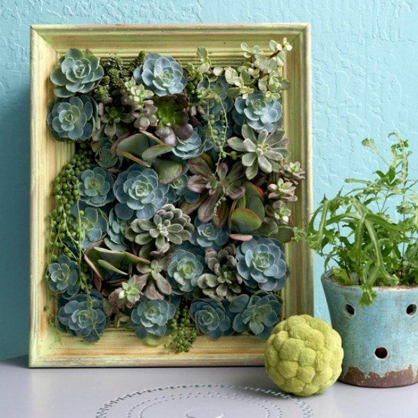1649858862 107 Decorate with succulents 20 great ideas - Decorate with succulents - 20 great ideas