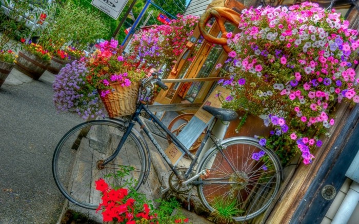 1649932553 974 Turn the old bike into a stunning decorative bike for - Turn the old bike into a stunning decorative bike for your garden!