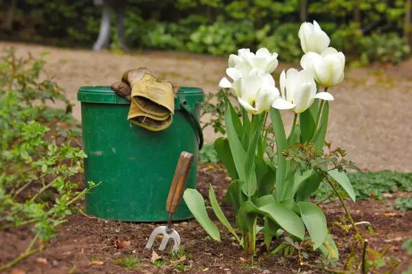 1650124252 79 Spring gardening whats on your to do list now - Spring gardening - what's on your to-do list now?