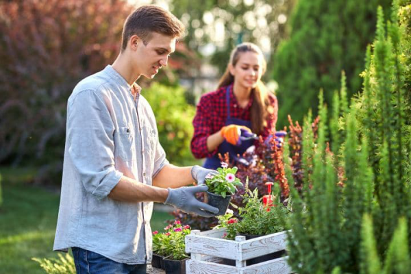 1650124256 747 Spring gardening whats on your to do list now - Spring gardening - what's on your to-do list now?