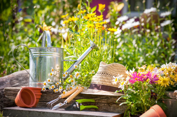 1650124257 547 Spring gardening whats on your to do list now - Spring gardening - what's on your to-do list now?