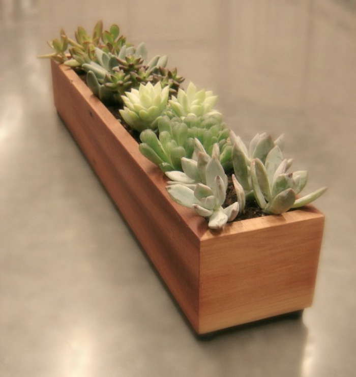 1650184138 627 Wooden plant box Beautiful plant containers as decorative items - Wooden plant box - Beautiful plant containers as decorative items