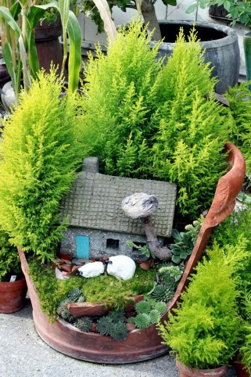 1650212805 623 Creative mini garden made from broken flower pot - Creative mini garden made from broken flower pot