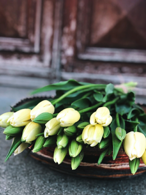 1650298934 368 Caring for French tulips properly and enjoying them longer in - Caring for French tulips properly and enjoying them longer in the vase
