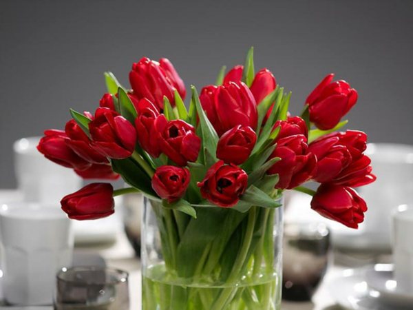 1650298937 213 Caring for French tulips properly and enjoying them longer in - Caring for French tulips properly and enjoying them longer in the vase