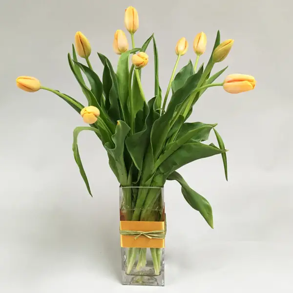 1650298941 66 Caring for French tulips properly and enjoying them longer in - Caring for French tulips properly and enjoying them longer in the vase