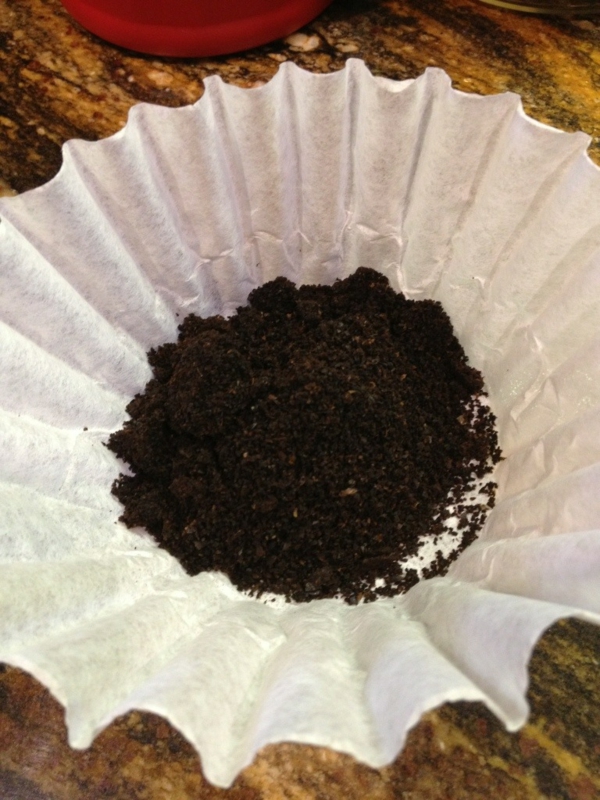1650444801 336 Coffee grounds as fertilizer for roses Gardening in April continues - Coffee grounds as fertilizer for roses- Gardening in April continues